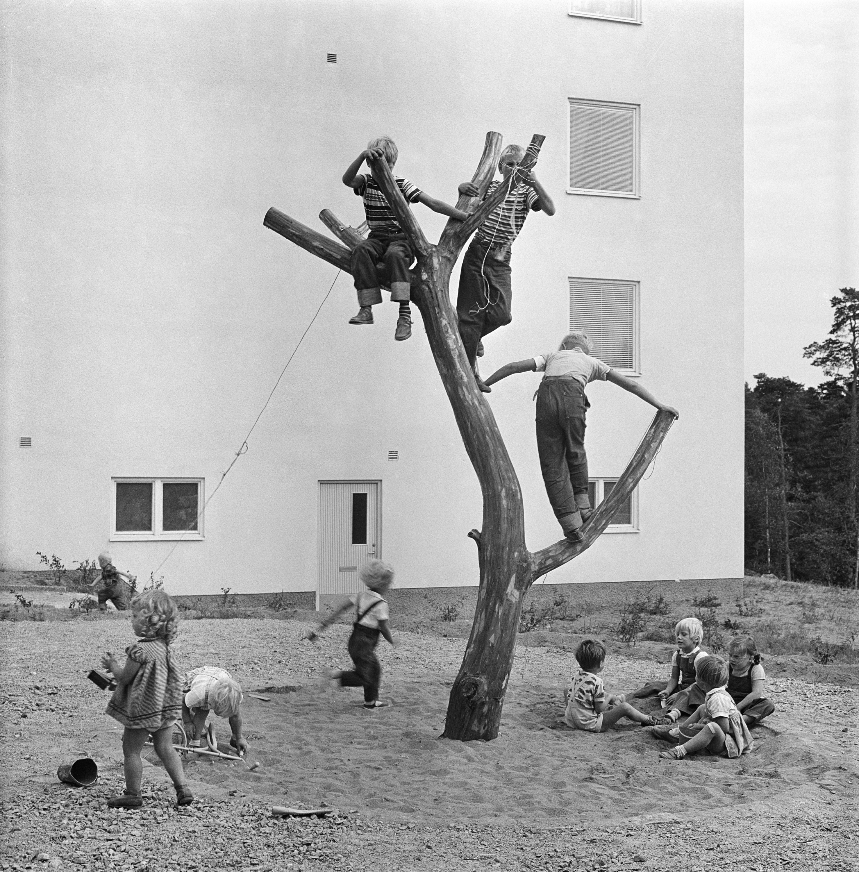 Svartvitt gammalt foto på barn som leker i ett träd.