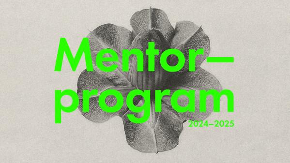 Mentorprogram 2024–25