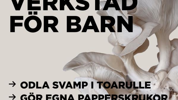 Odla på toarulle