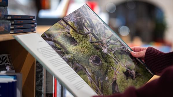 Vi talade om träd som om de varit människor