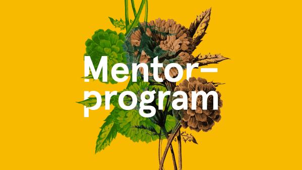 Mentorprogram 2025