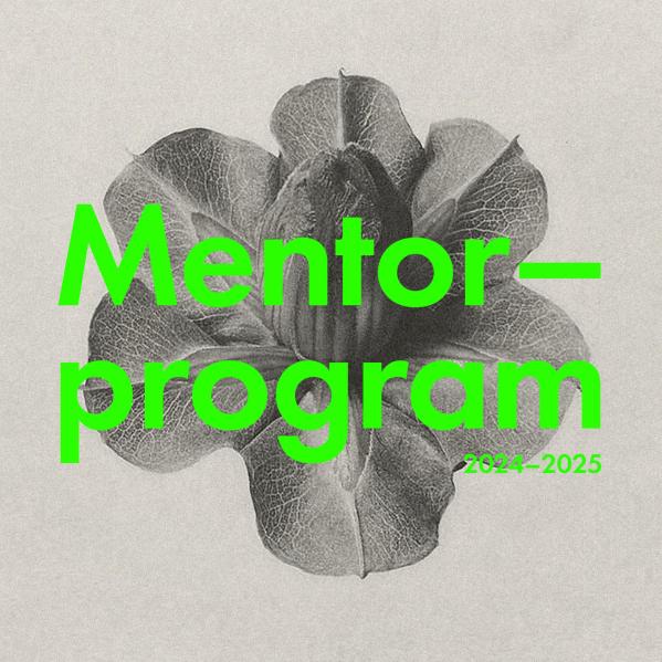 Mentorprogram 2024–25