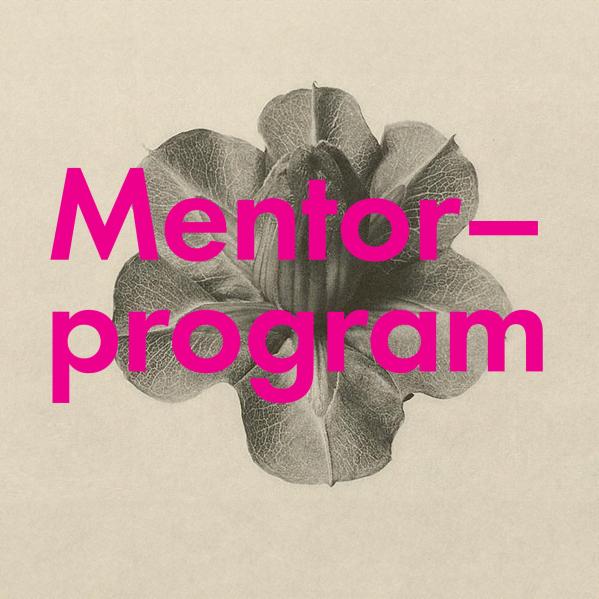 Mentorprogram 24-25