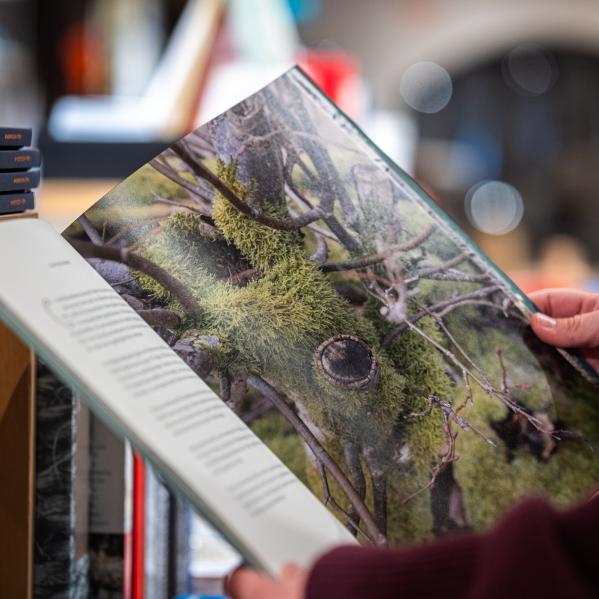 Vi talade om träd som om de varit människor