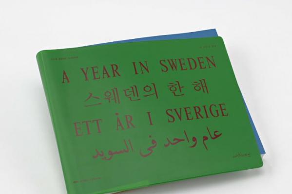 Ett år i Sverige – buskörningar, bilbränder och slaktplatser
